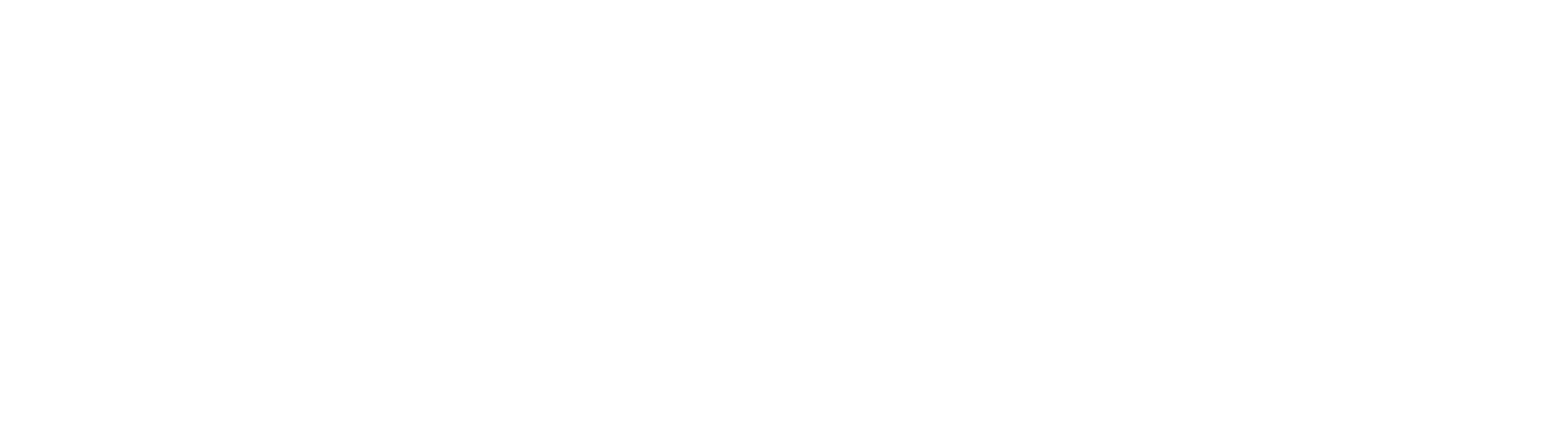 Excellence Enterprise Logo File footer